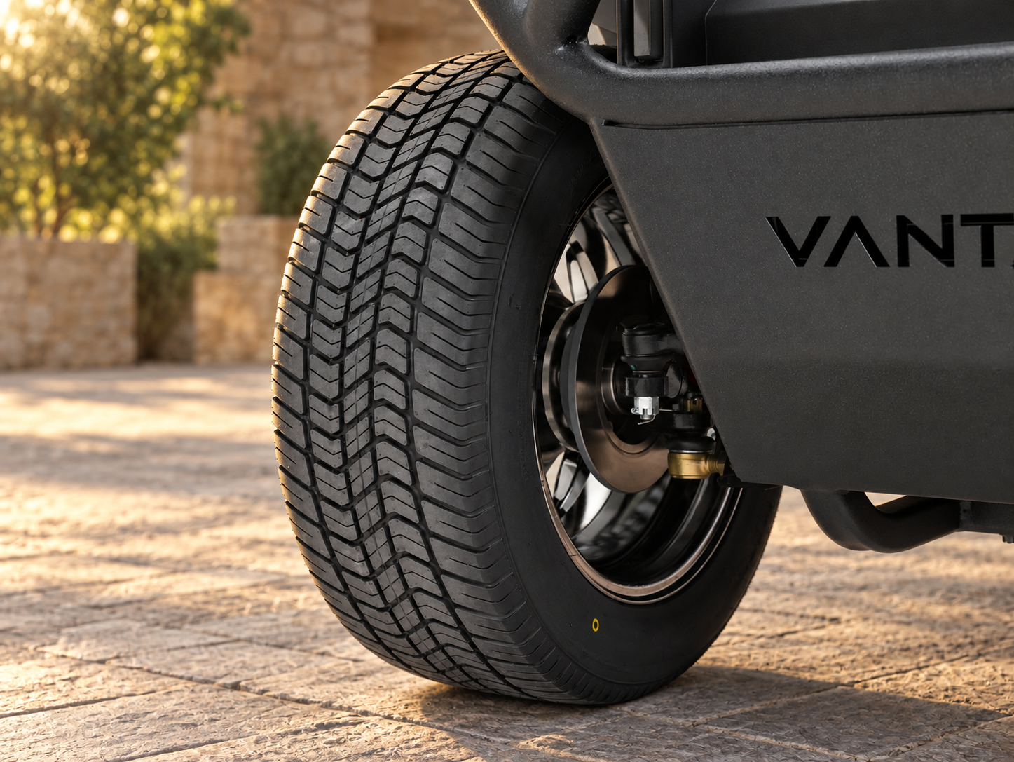 Vanta tire and brake disc detail